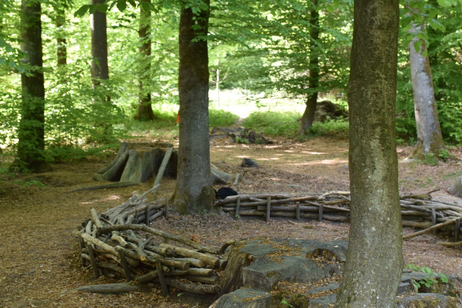 Der Waldplatz mit Waldsofa der Waldspielgruppe Länggasse im Bremgartenwald in Bern
