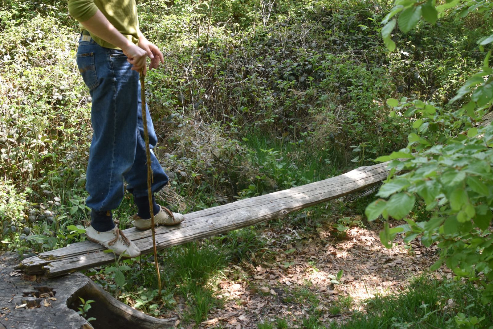 Beim Balancieren über einen Baumstamm in der Waldspielgruppe in Bern