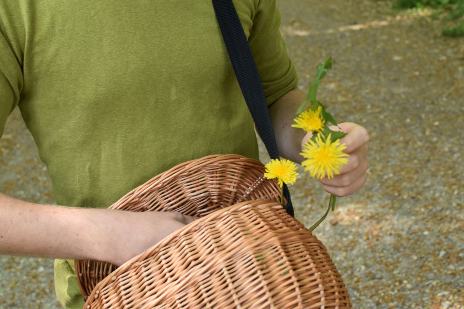 Leitungsperson der Waldspielgruppe hält Löwenzahn
